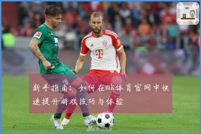 新手指南：如何在mk体育官网中快速提升游戏技巧与体验